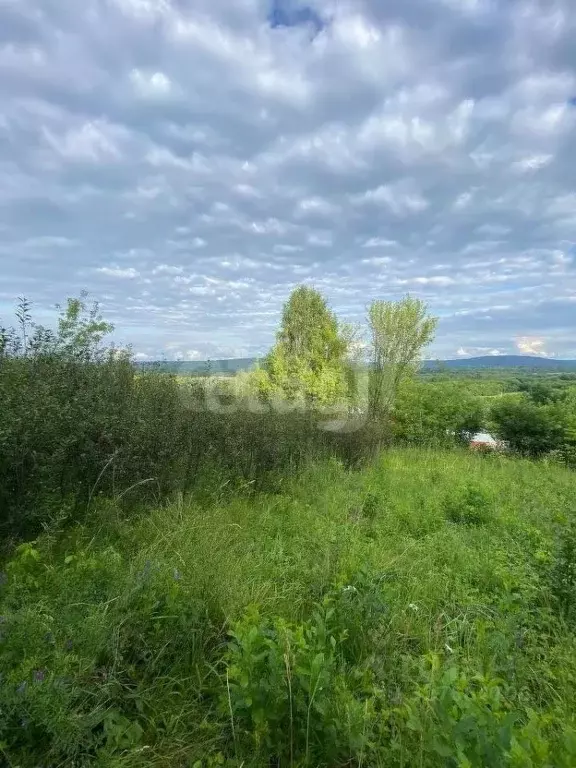 Участок в Кемеровская область, Новокузнецкий муниципальный округ, с. ... - Фото 1