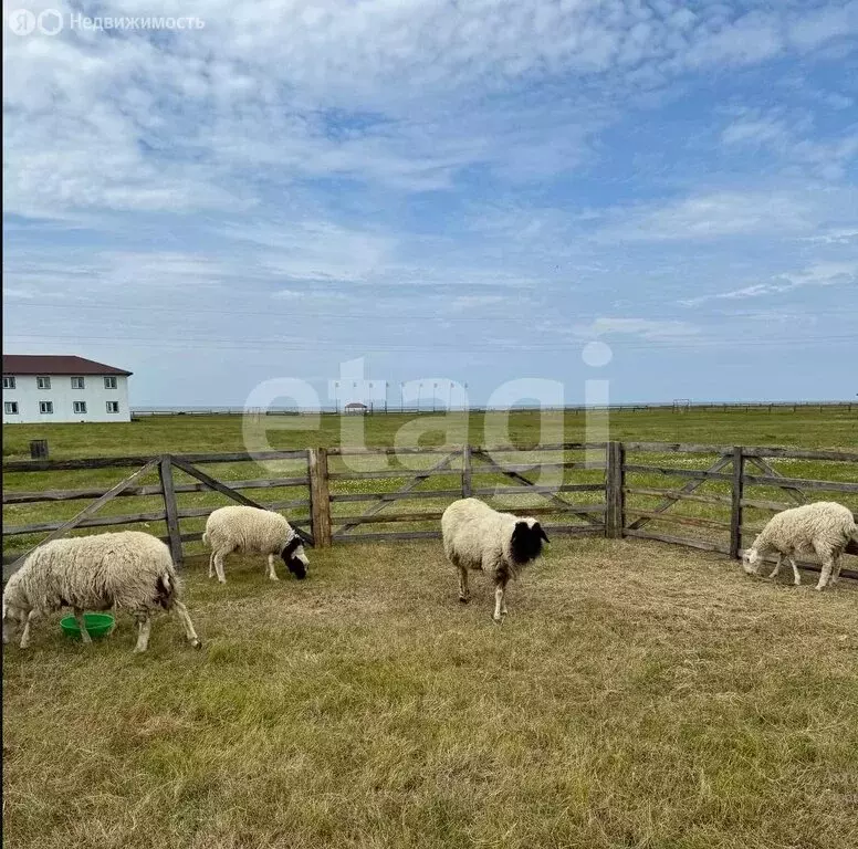 Участок в село Оймур, улица 3 Пристань (804.17 м) - Фото 2