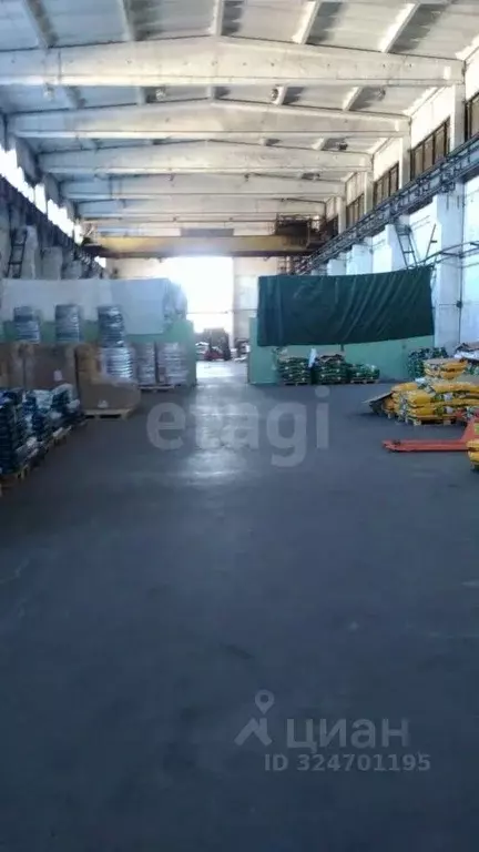 Склад в Калининградская область, Калининград Камская ул., 49 (1461 м) - Фото 1