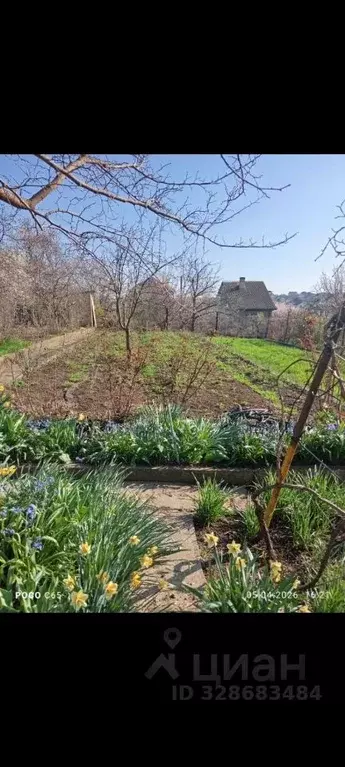 Участок в Крым, Симферопольский район, Трудовское с/пос, Живописное ... - Фото 2