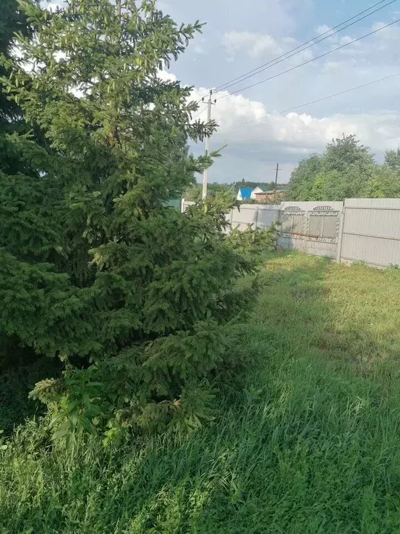 Дом в Новосибирская область, Бердск Волна СНТ,  (70 м) - Фото 1