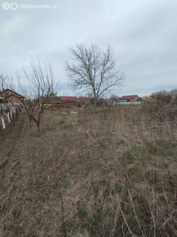 Дом в станица Старощербиновская, улица Ленина (47 м) - Фото 1