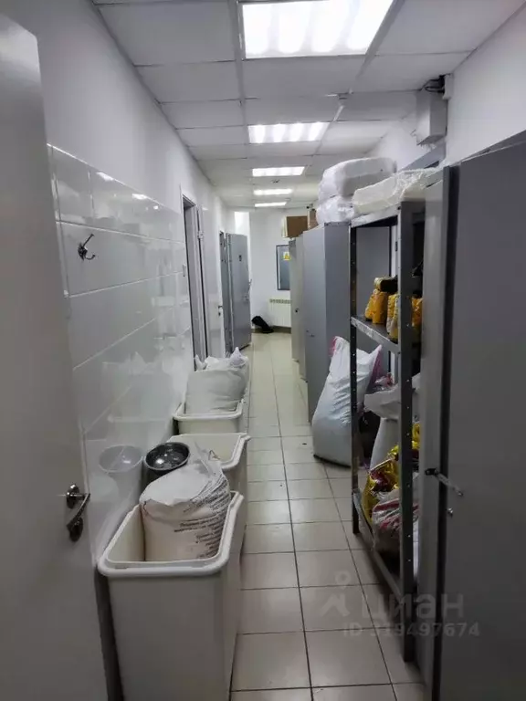 Офис в Иркутская область, Братск П 17 01 01 01 (723 м) - Фото 1