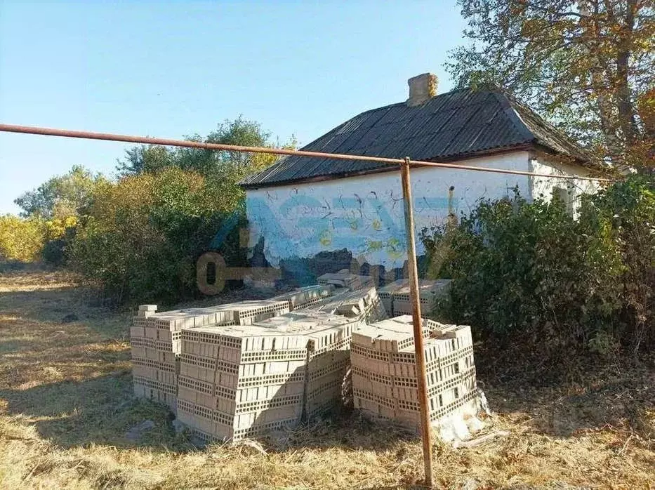 Участок в Белгородская область, Белгородский район, Хохловское с/пос, ... - Фото 1