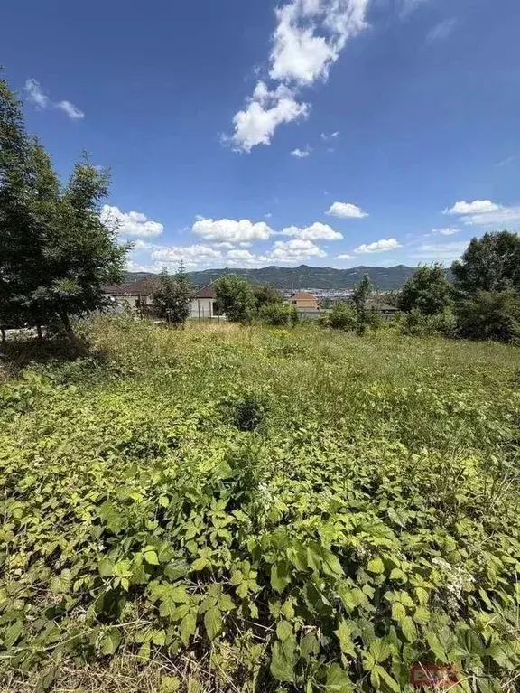 Участок в Краснодарский край, Новороссийск Цемдолина тер., ул. ... - Фото 1