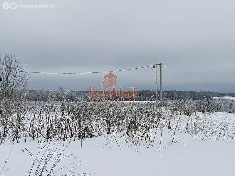 Участок в Талдомский городской округ, деревня Растовцы (8 м) - Фото 0