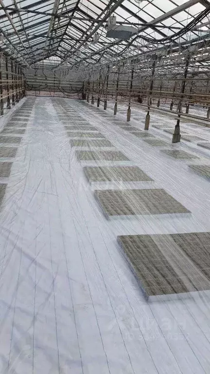 Производственное помещение в Ростовская область, Октябрьский район, ... - Фото 2