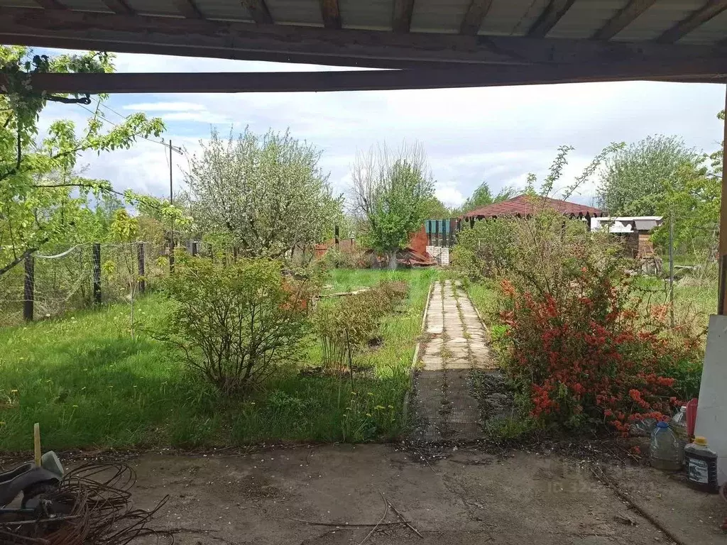 Участок в Воронежская область, Семилукский район, Девицкое с/пос, ... - Фото 2