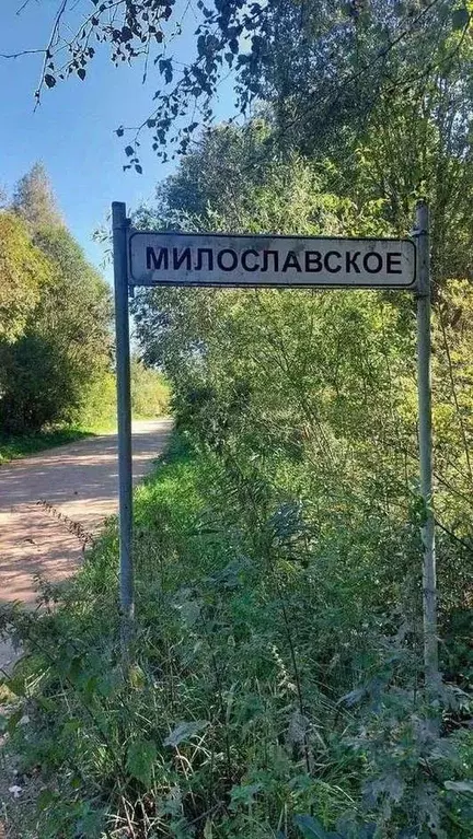 Участок в Новгородская область, Новгородский район, Ракомское с/пос, ... - Фото 2