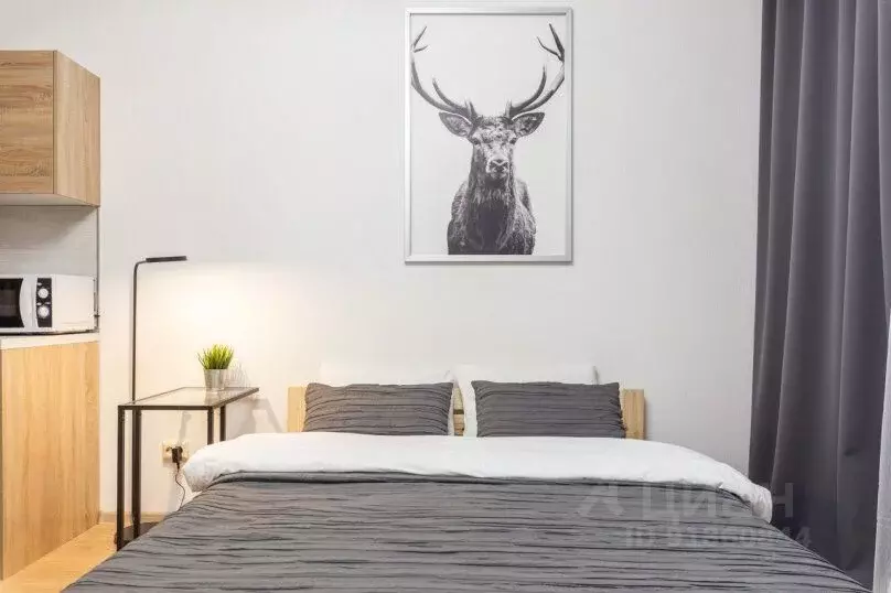 1-к кв. Санкт-Петербург 5-й Предпортовый проезд, 2 (25.0 м) - Фото 1