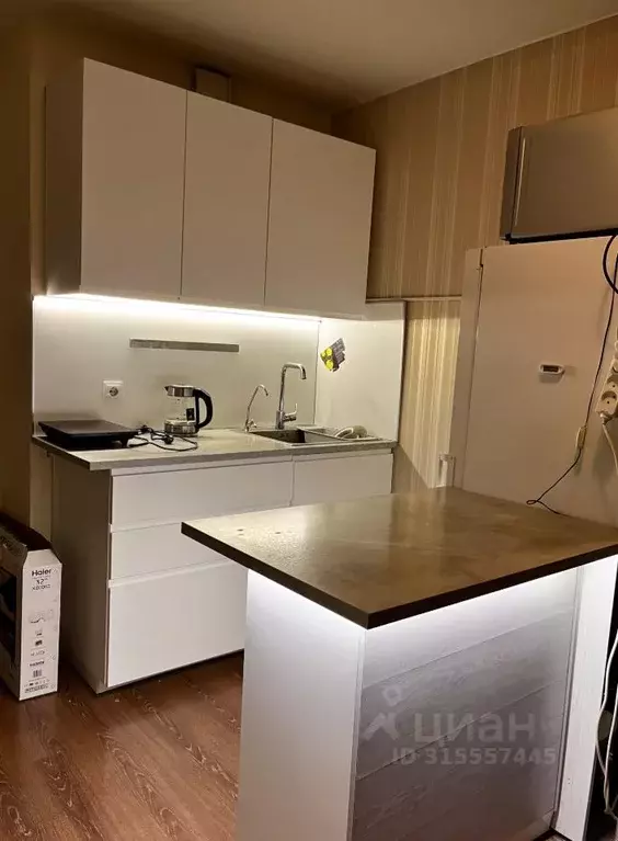 Студия Санкт-Петербург бул. Александра Грина, 1 (21.0 м) - Фото 1