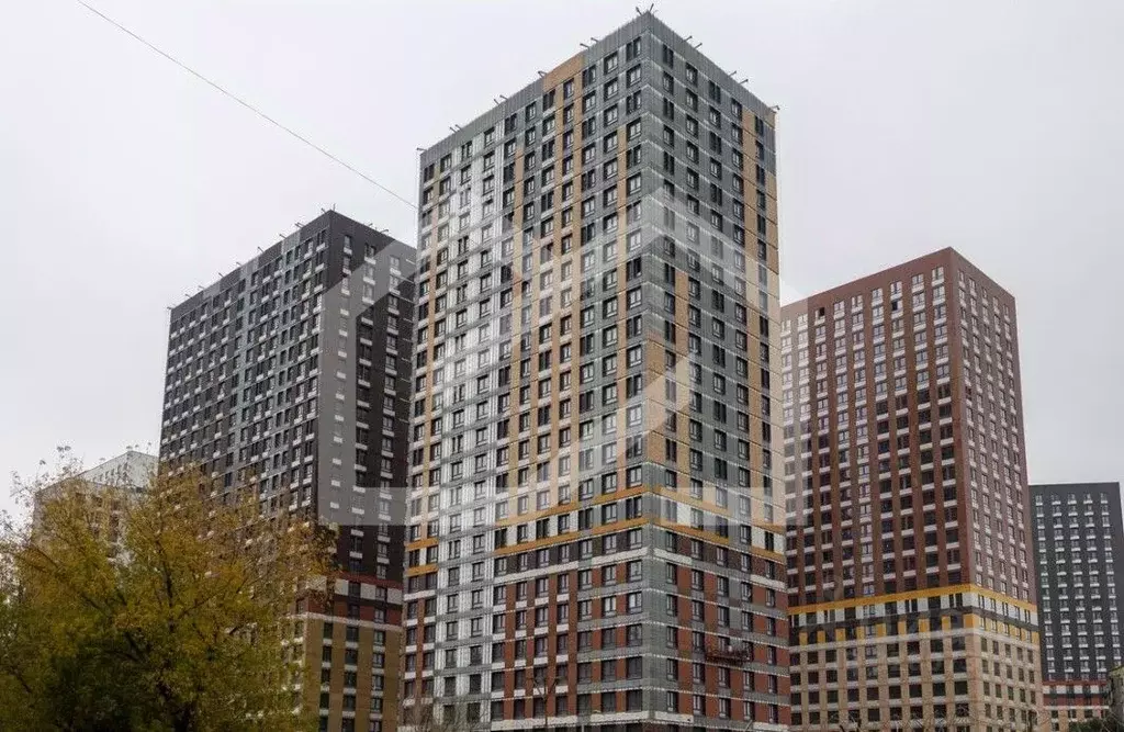 Помещение свободного назначения в Московская область, Котельники Белая ... - Фото 2