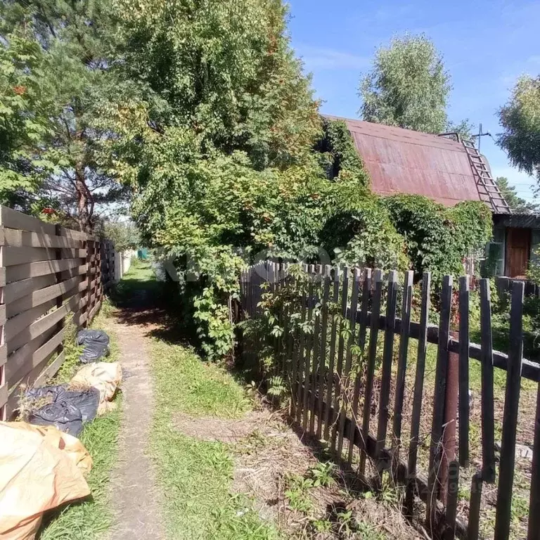 Дом в Новосибирская область, Новосибирский район, Кудряшовский ... - Фото 1