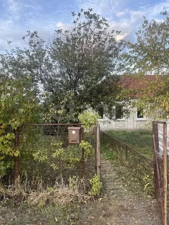 Дом в Липецкая область, Грязинский муниципальный округ, с. Казинка ул. ... - Фото 1