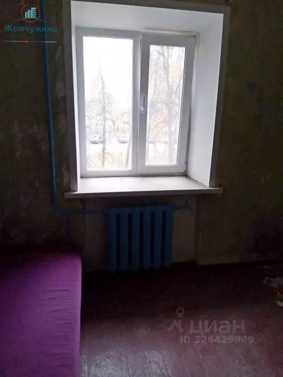 1-к кв. Ульяновская область, Димитровград просп. Ленина, 44А (12.0 м) - Фото 2