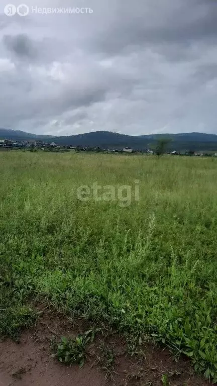 участок в читинский район, село засопка (10 м) - Фото 0