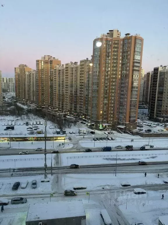 Студия Санкт-Петербург просп. Королева, 62 (24.0 м) - Фото 2