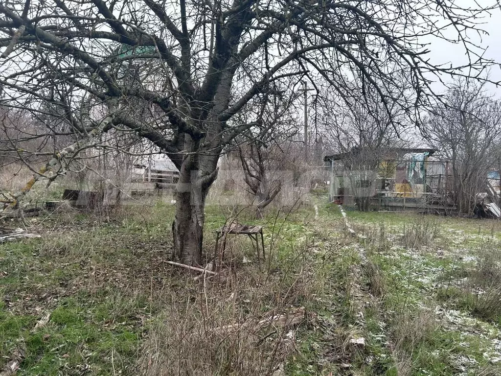 Дом в Ростовская область, Неклиновский район, Синявское с/пос, Связист ... - Фото 2