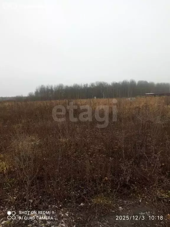 Участок в Кочкуровский район, село Булгаково (10 м) - Фото 2