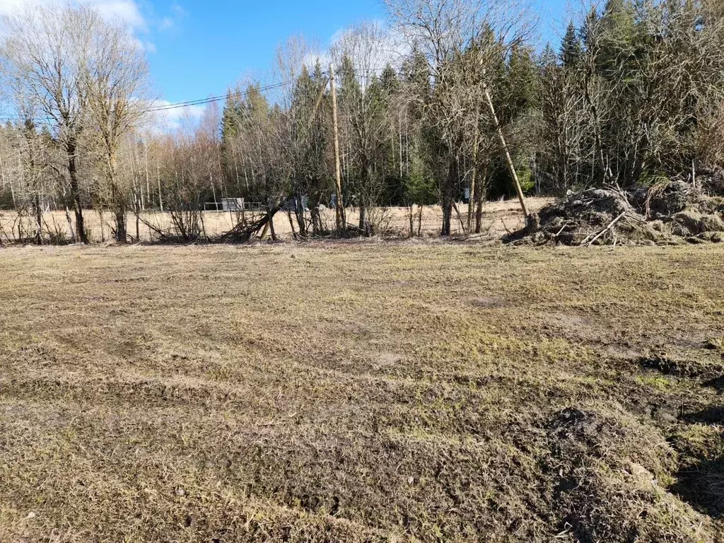 Участок в Ленинградская область, Выборгский район, Приморское ... - Фото 1