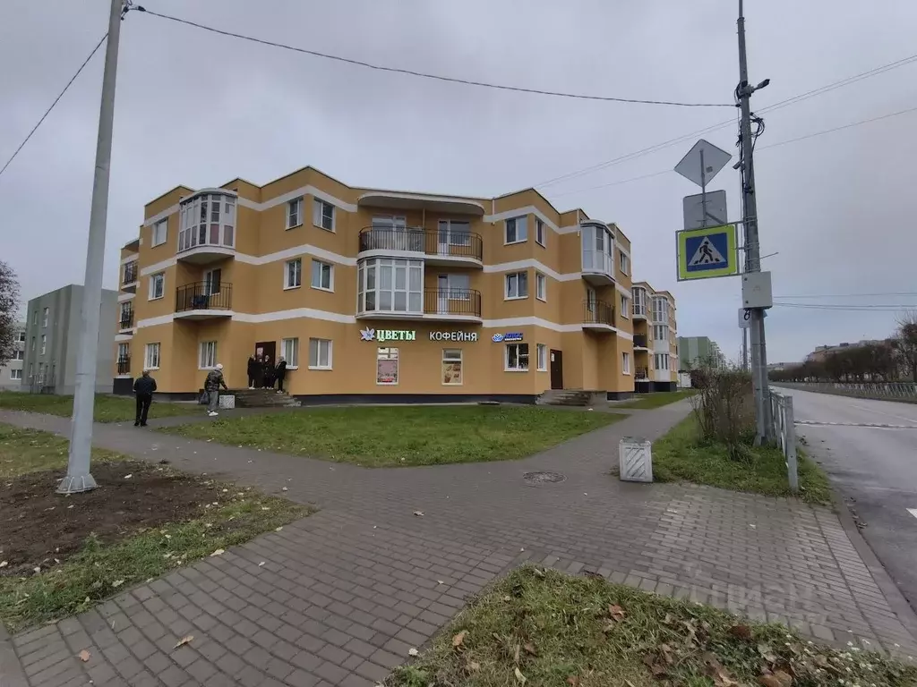 Студия Ленинградская область, Всеволожский район, Дубровское городское ... - Фото 0