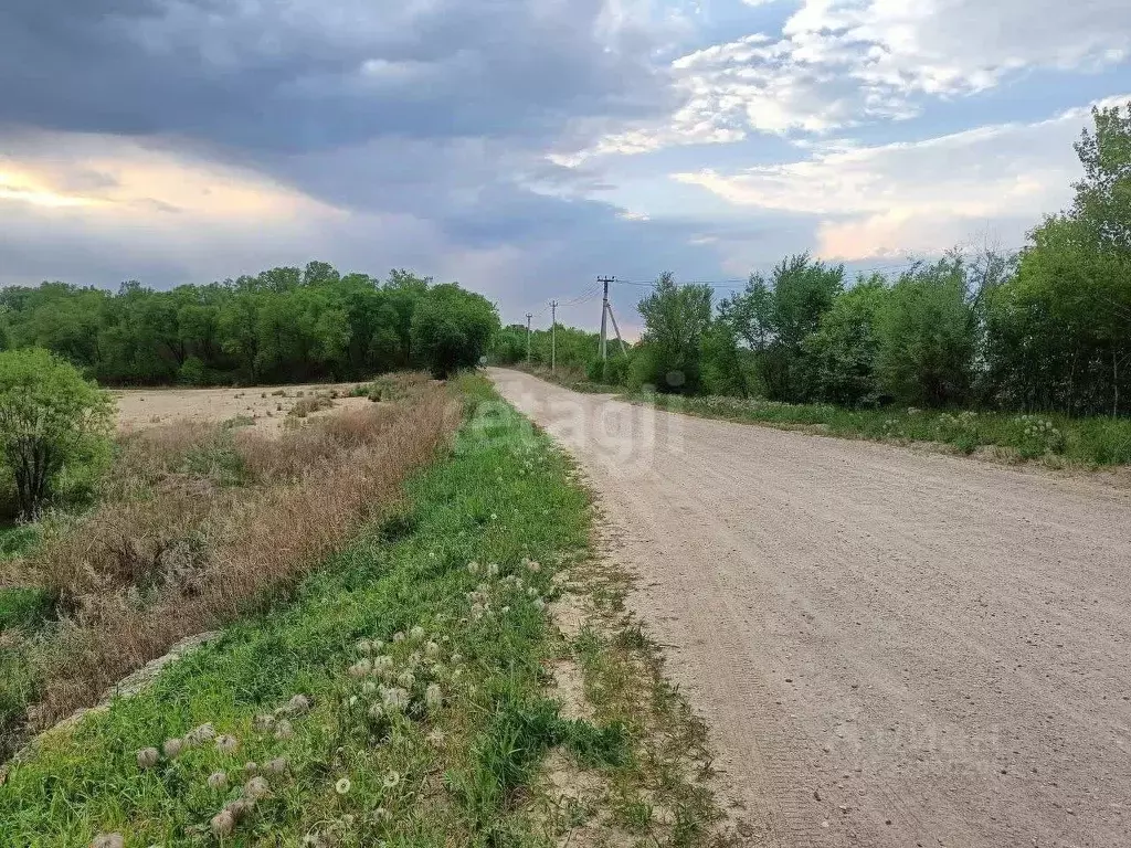 Участок в Амурская область, Благовещенский район, с. Кантон-Коммуна ... - Фото 1