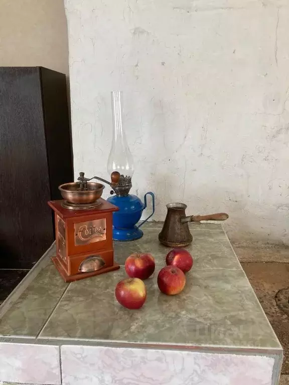 Дом в Омская область, Омск СОСН Сибирский садовод-2 тер.,  (49 м) - Фото 1