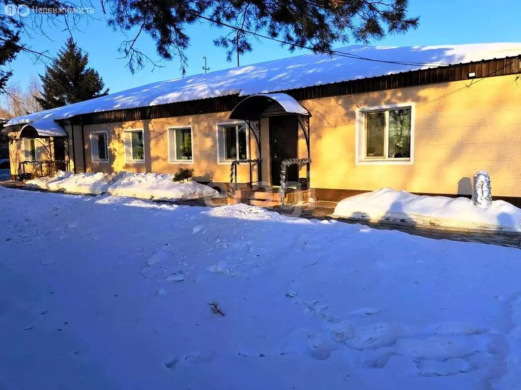 Дом в посёлок городского типа Архара, улица Победы (191.7 м) - Фото 1