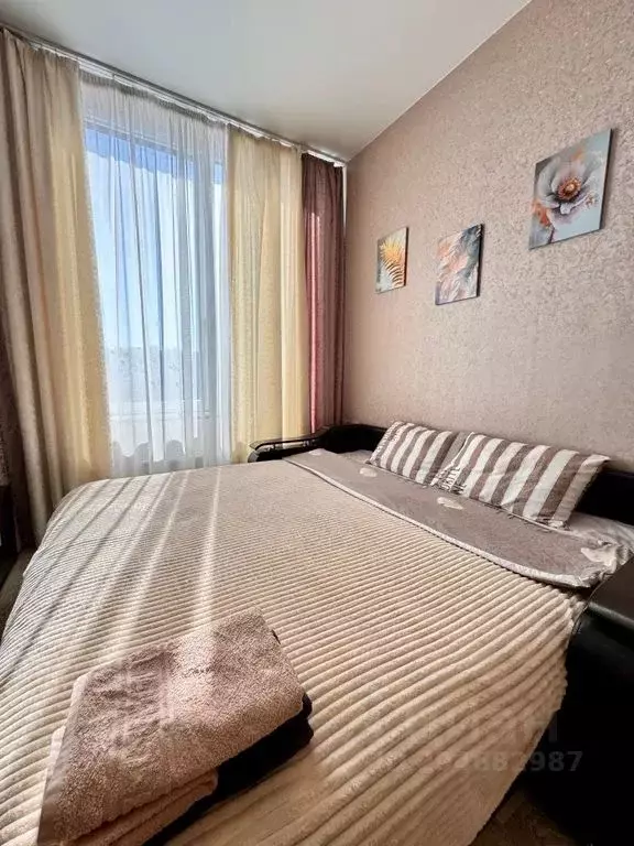 Студия Крым, Симферополь ул. Беспалова, 110Е (26.0 м) - Фото 2