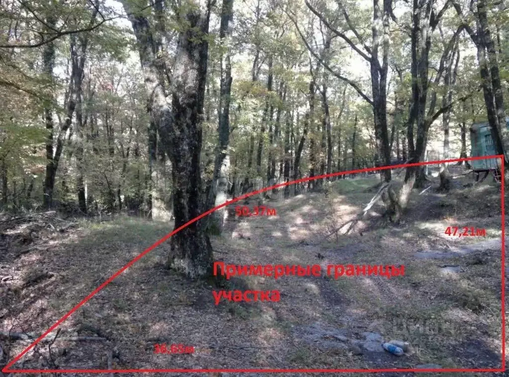 Участок в Крым, Ялта муниципальный округ, Виноградное пгт  (10.0 сот.) - Фото 1