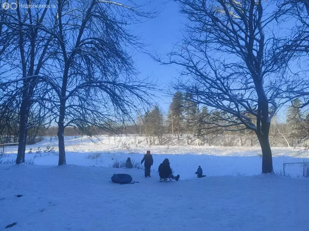 2-комнатная квартира: деревня Большой Сабск, 11 (50.8 м) - Фото 2