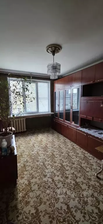 1-к кв. Нижегородская область, Дзержинск ул. Буденного, 21 (31.5 м) - Фото 1
