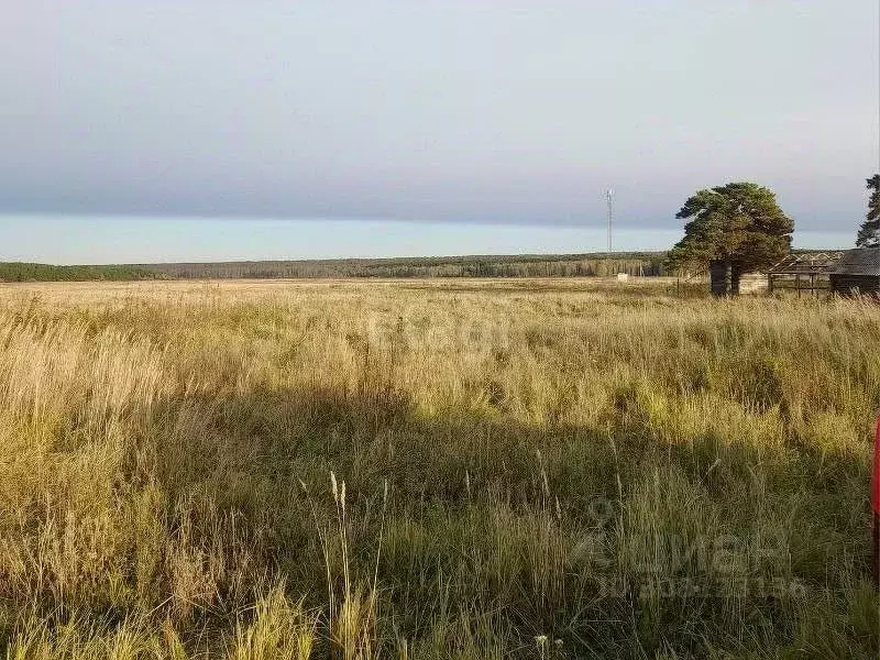 Участок в Тюменская область, Ишимский район, д. Симонова ул. Луговая ... - Фото 0