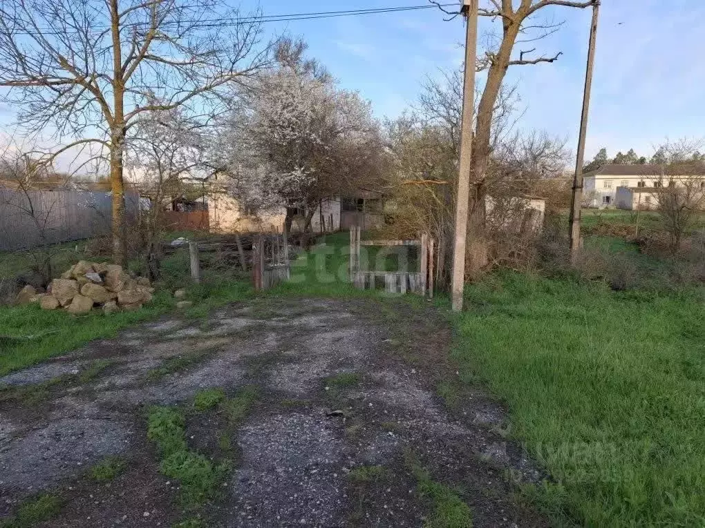 Участок в Крым, Раздольненский район, Серебрянское с/пос, с. ... - Фото 1