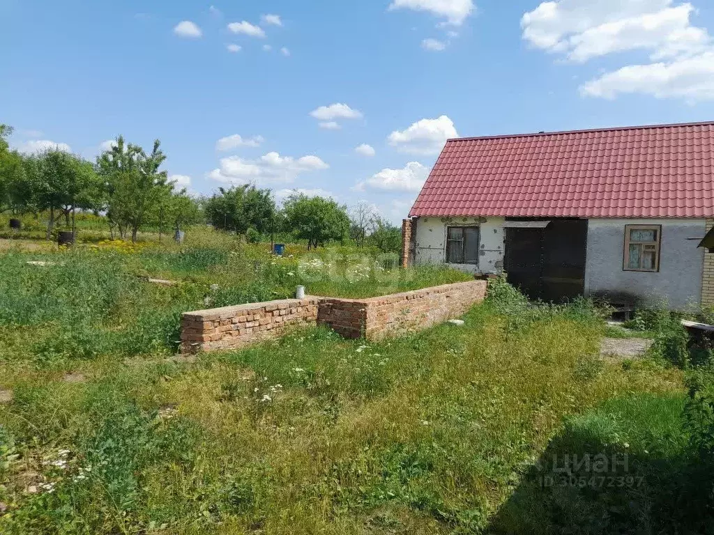 Дом в Белгородская область, Корочанский район, с. Погореловка ... - Фото 1