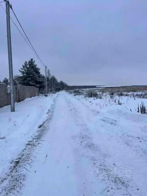Участок в Московская область, Раменский муниципальный округ, Давыдово ... - Фото 2