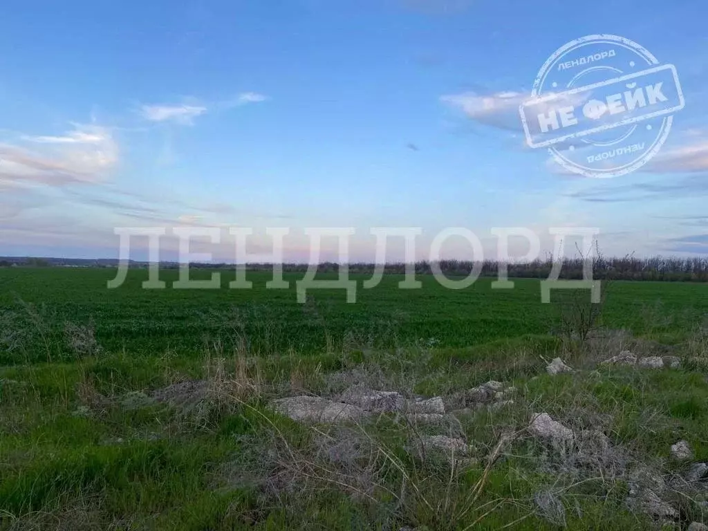 Участок в Ростовская область, Багаевский район, Красненское с/пос, ... - Фото 1