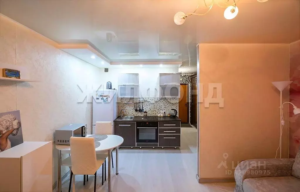 1-к кв. Новосибирская область, Новосибирск Горский мкр, 75 (25.8 м) - Фото 2