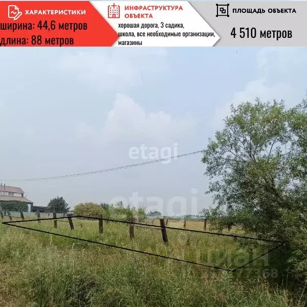 Участок в Амурская область, с. Тамбовка ул. Раздольная (10.0 сот.) - Фото 0