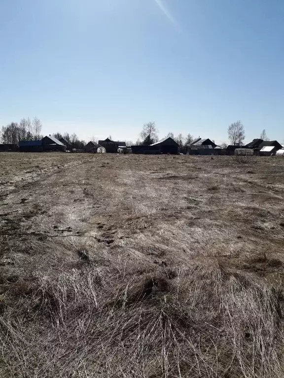 Погода в музге череповецкого