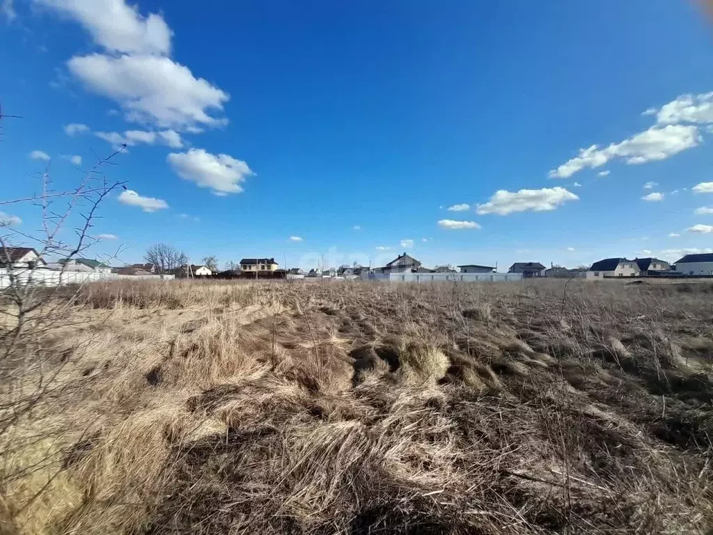 Участок в Воронежская область, с. Новая Усмань ул. Колхозная, 109 ... - Фото 0