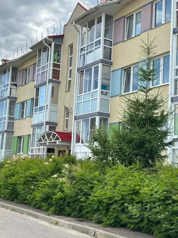 Студия Ивановская область, Кохма Просторный мкр, 11 (27.0 м) - Фото 1