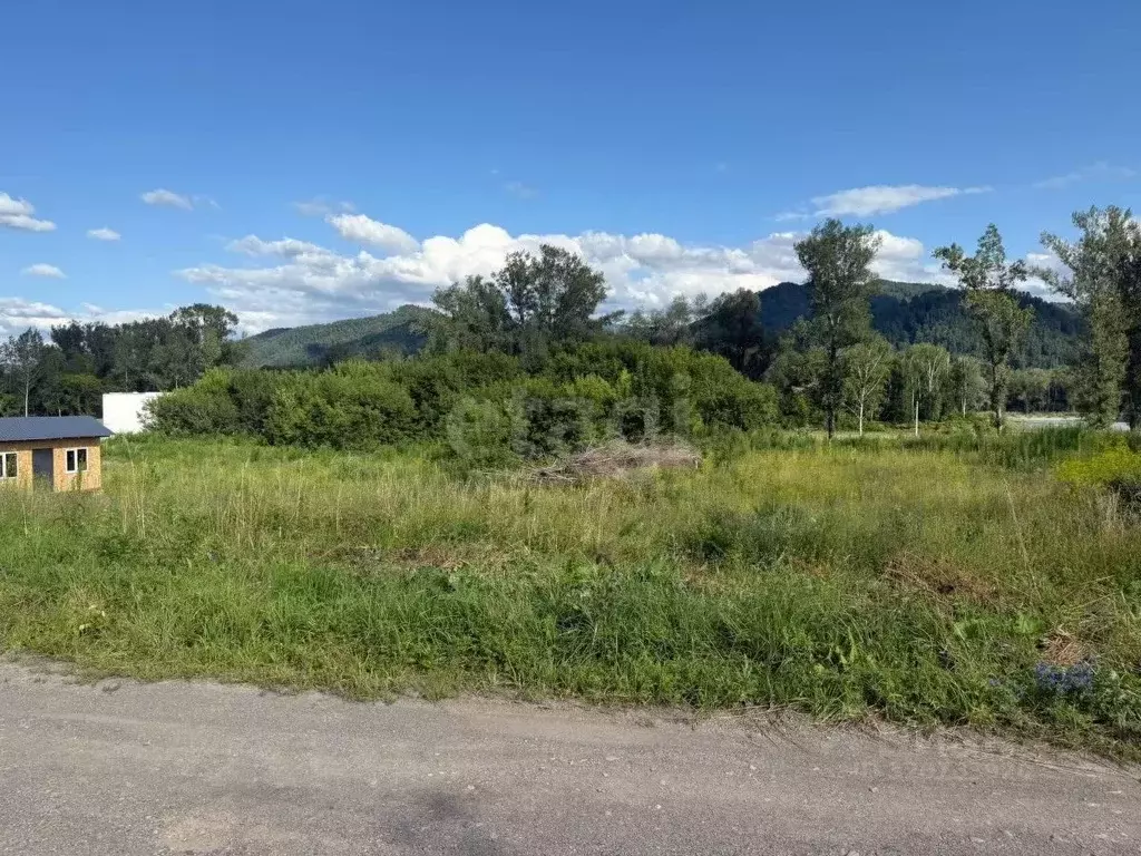 Участок в Алтайский край, Алтайский район, с. Нижнекаянча ул. ... - Фото 0