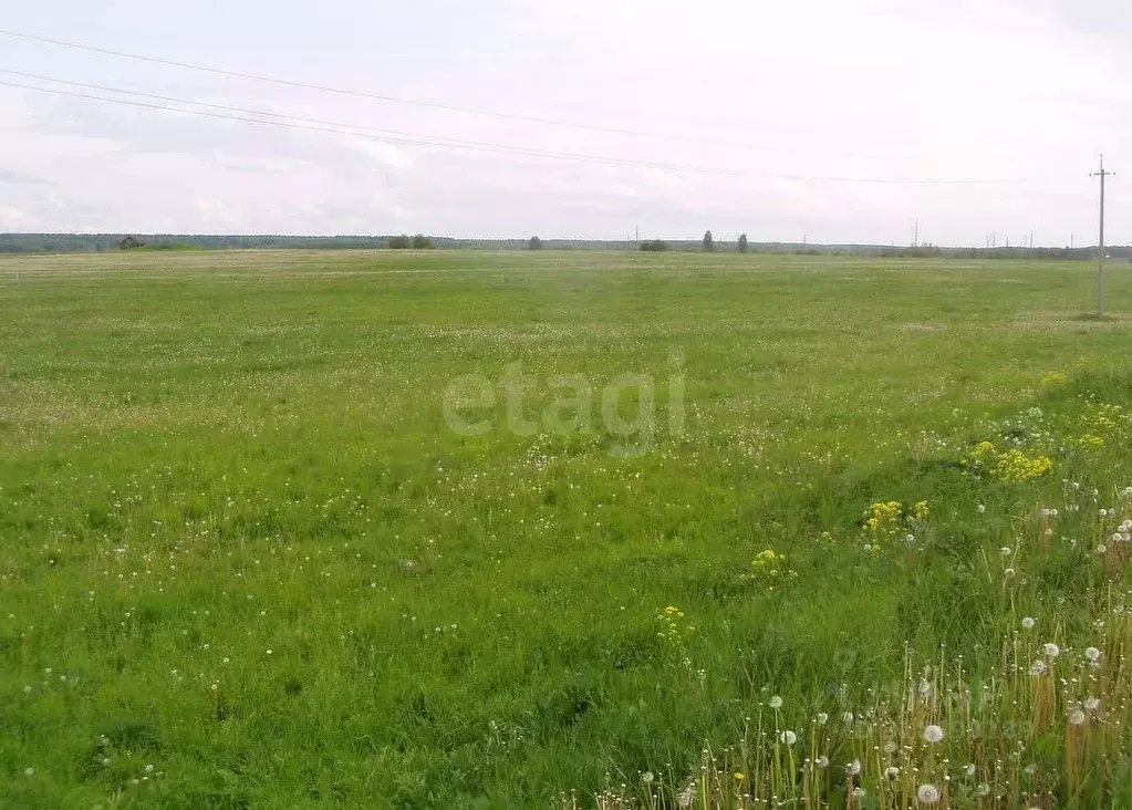 Участок в Красноярский край, Емельяновский район, с. Еловое  (400.0 ... - Фото 0