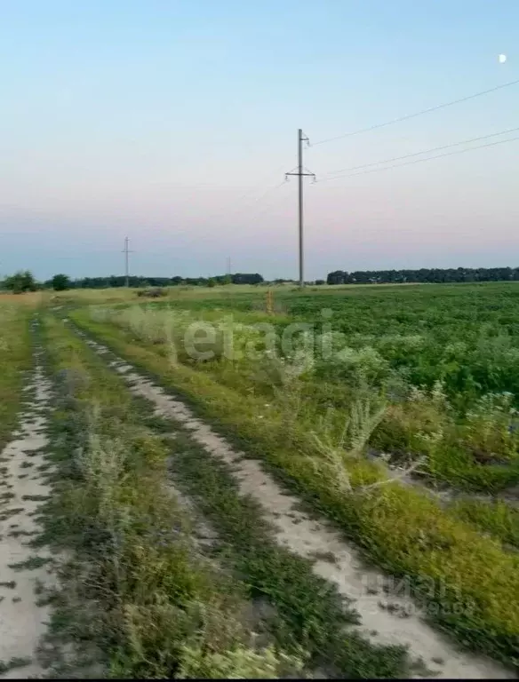 Участок в Курская область, Курский район, Моковский сельсовет, д. 1-я ... - Фото 0