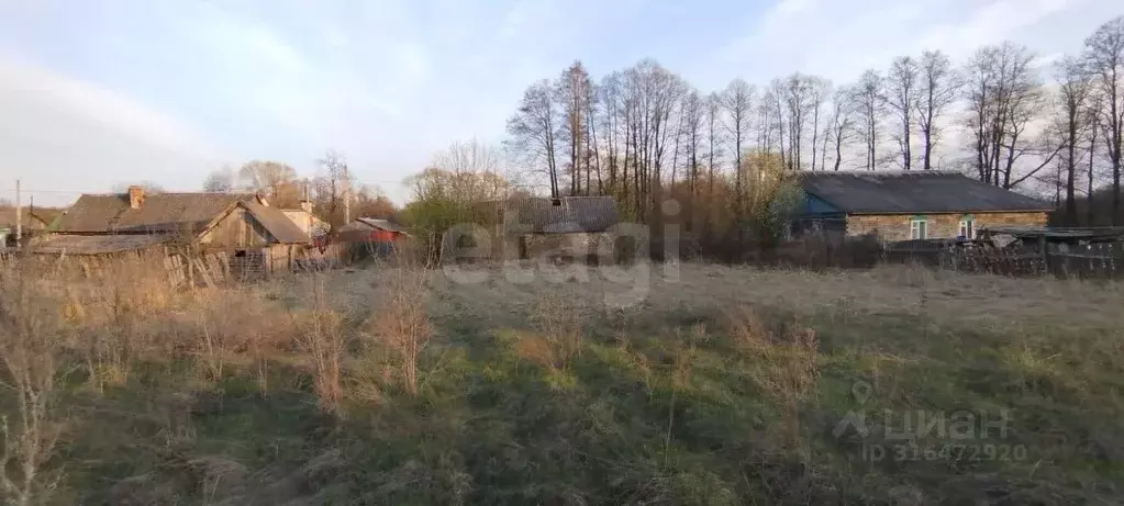 Участок в Брянская область, Навля рп ул. Речная (12.0 сот.) - Фото 1