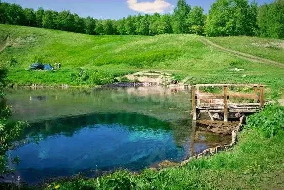 Участок в Башкортостан, Кармаскалинский район, Старомусинский ... - Фото 0