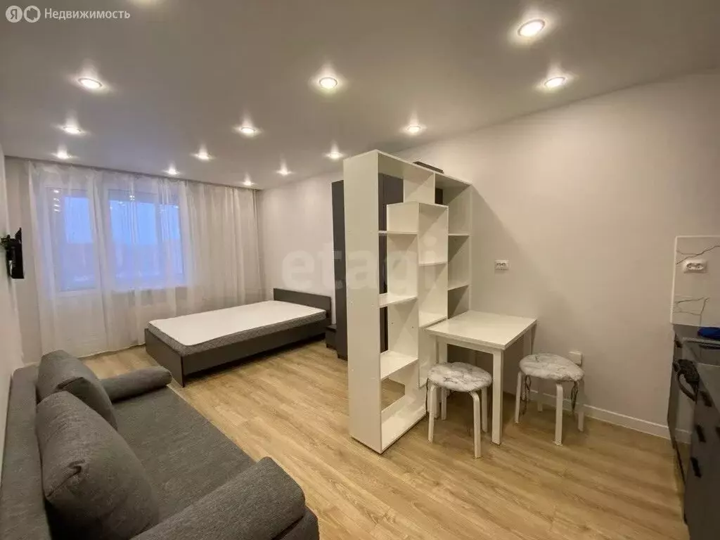 Квартира-студия: Мурино, проспект Авиаторов Балтики, 25 (26.5 м) - Фото 1