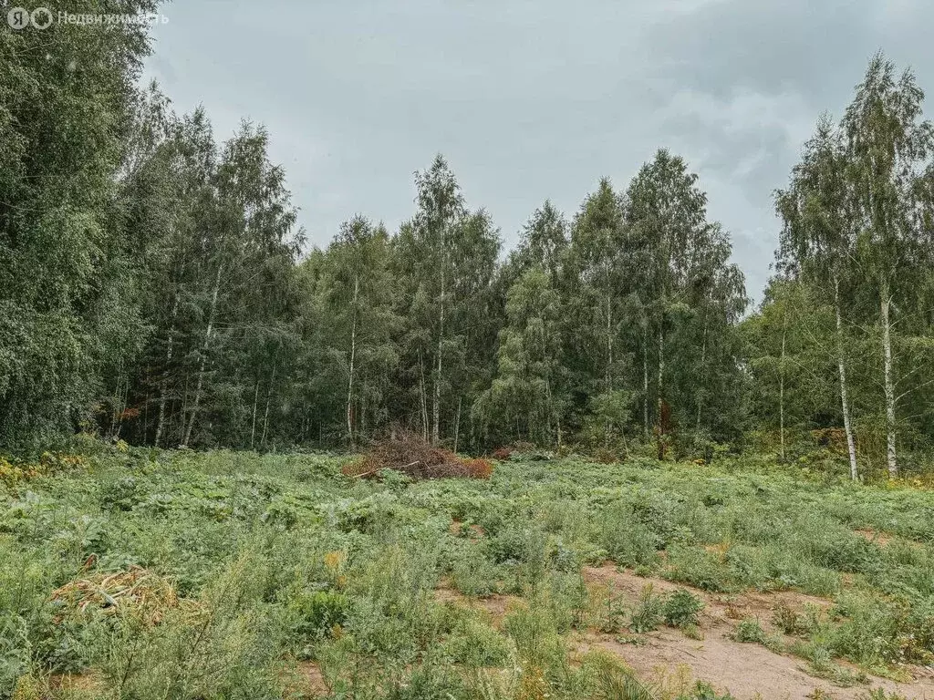 Участок в село Ковардицы, 6-я Лесная улица, 7 (35 м) - Фото 1