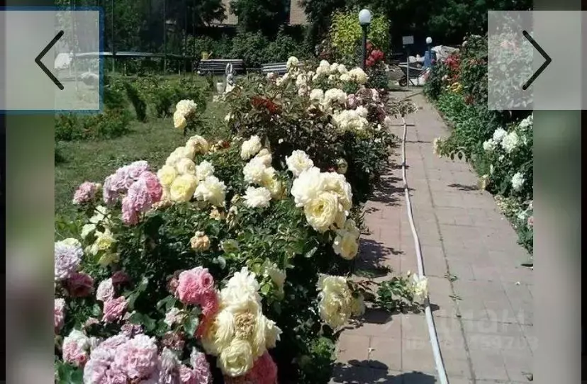 Дом в Московская область, Истра городской округ, д. Жевнево ул. Южная, ... - Фото 0